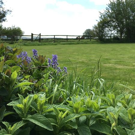 Bed and Breakfast Cotswolds Mine Hill House Lower Brailes Exterior foto
