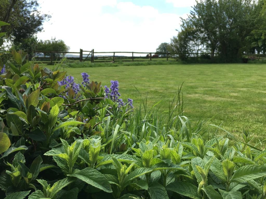 Bed and Breakfast Cotswolds Mine Hill House Lower Brailes Exterior foto